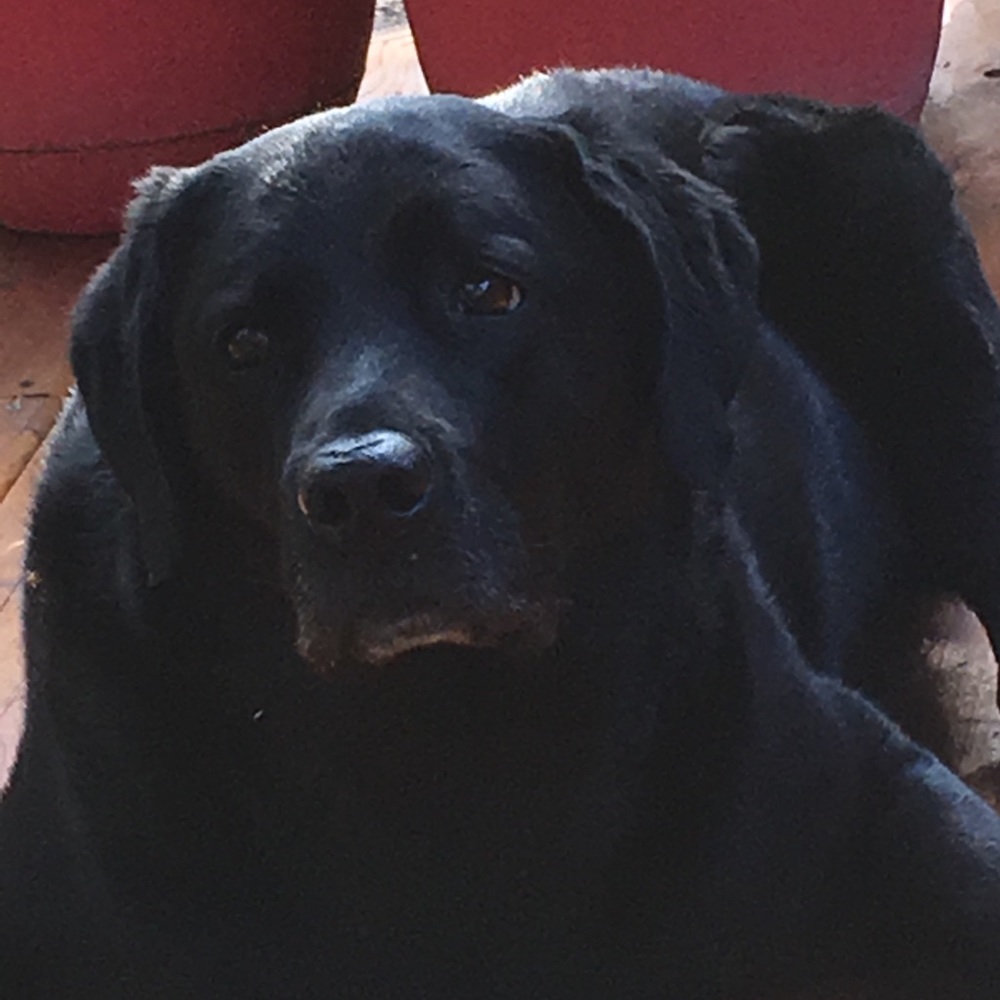 Meet your Posher, Marcie